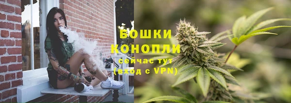 крисы Горняк