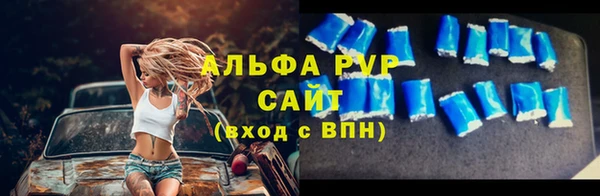 крисы Горняк