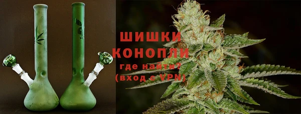 тгк Горно-Алтайск