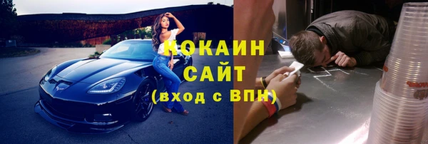 крисы Горняк