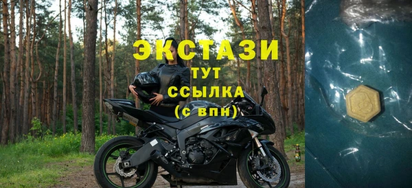 крисы Горняк