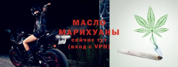 крисы Горняк