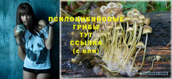 крисы Горняк