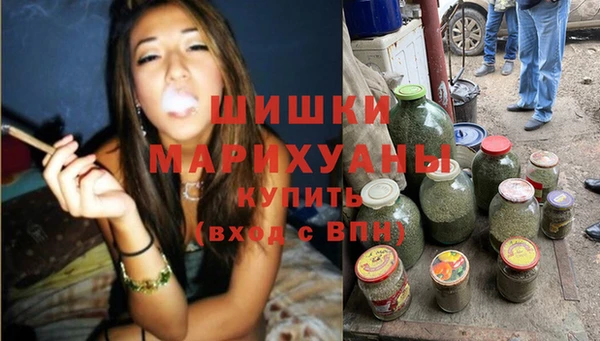 тгк Горно-Алтайск