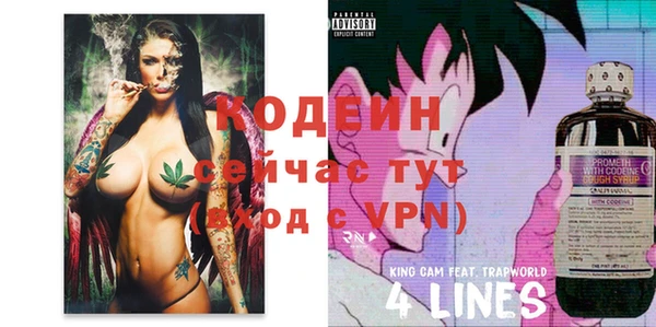крисы Горняк