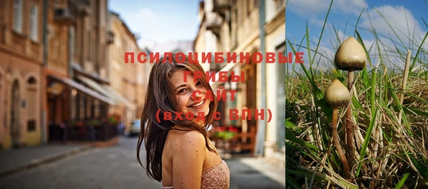 марки lsd Горнозаводск