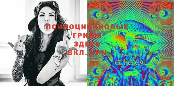 тгк Горно-Алтайск