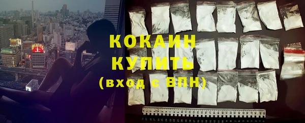 крисы Горняк
